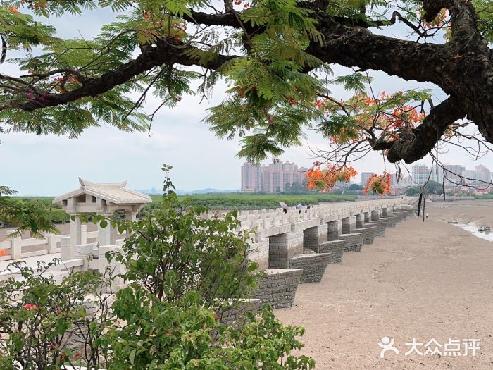 洛阳桥图片