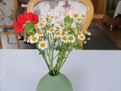 -蝶舍·MAISON PAPILLON