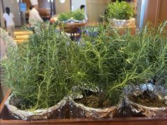 -亚龙湾希尔顿自助餐厅·海鲜·烧烤·沙滩BBQ·现场乐队