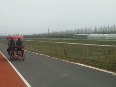 公园内-上海长兴岛郊野公园