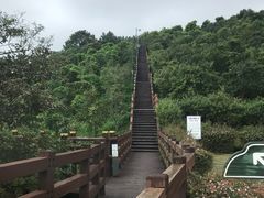 -柱状节理带