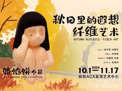 -辰熙ACX星海艺术中心