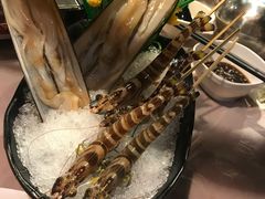 -鲜入围煮花胶鸡海鲜火锅