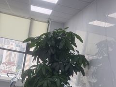 -戴尔笔记本电脑服务器售后维修中心(虹口足球场店)