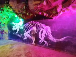 点击看大图 -宝燕乐园(闵行旗舰店)