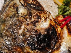 烤三文鱼头-三月居酒屋(青年大街店)