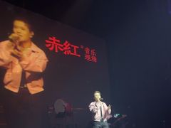 -赤红音乐现场(浦东金桥路店)