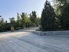 -大兴滨河森林公园