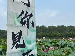 -渌洋湖湿地公园