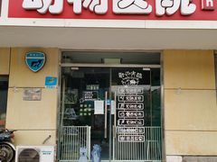 -中农大我爱我爱24h动物医院·中医针灸·猫专科·骨科医疗中心(双井店)