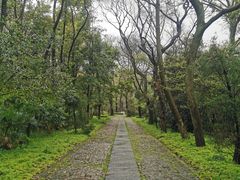 -紫霞湖公园