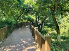 -张坝桂圆林公园