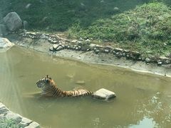 -西安秦岭野生动物园