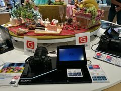-Sony Store索尼(深圳深业上城店)