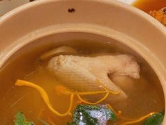 花螺鸡汤-神仙馆(衡山路店)
