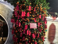 -侨美·唐荔园·40年地道粤菜