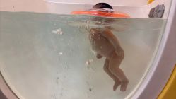 -月满阁月子中心(莲湖区店)