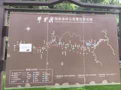 -牛背梁国家森林公园