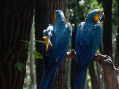 -北京野生动物园