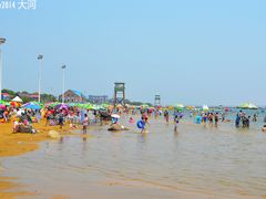 -碧海金沙
