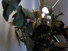 -铁手珈琲制造局metalhands(望京店)