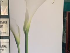 -福奈特洗衣(北京市鑫华鑫星商场店)