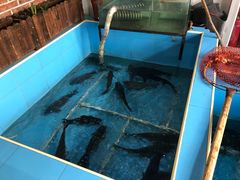 -金明姬铁锅炖(东坝店)