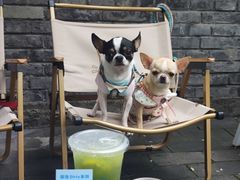 -BE YOLO必有乐&小红帽三明治