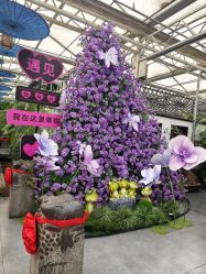 -特味村·宴会厅(生态园店)