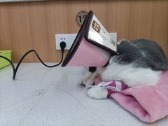 -联合动物医院(光谷诊疗中心)
