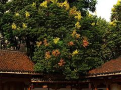 -杭州半山国家森林公园