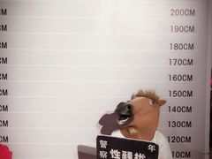 -苏州5D星空错觉艺术馆