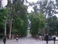 -中山大学学者灵芝(园南路店)