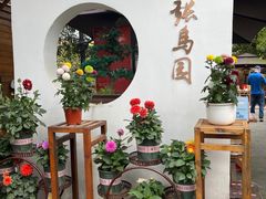 -张鸟园农家乐(张鸟园店)