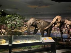 -湖南省地质博物馆