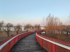 -卧龙湖