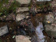 -杭州半山国家森林公园