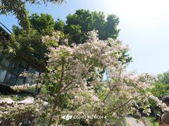 -洛阳市隋唐城遗址植物园