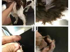 -听TA说宠咖·宠物生活馆(天韵水岸店)