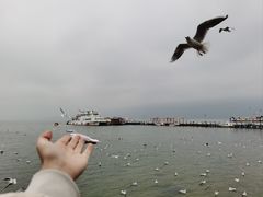 -滇池海埂公园