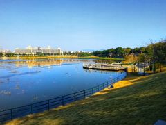 -风云岭森林公园