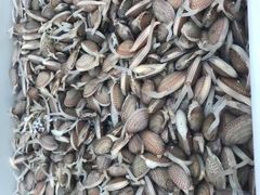 -鸿通城购物中心