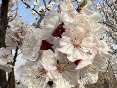 -天津东丽湖风景区