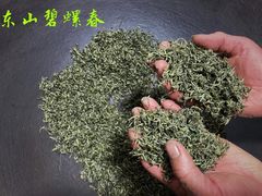 -东山风景区(洞庭东山)