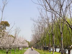 -广富林郊野公园