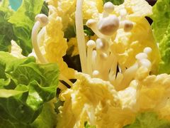 -原味四季椰子鸡(平湖天虹店)