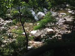 -沂蒙山旅游区云蒙景区(蒙山国家森林公园)