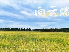 -武汉紫薇都市田园