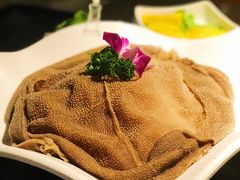 -锅说大脸毛肚重庆老火锅(佐阾店)