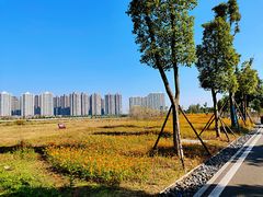 -洋湖国家湿地公园